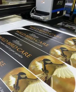 Custom Foamex header cards