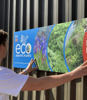 Eco aquatic plants correx sign