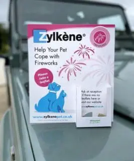 LEaflet displays printed with promotional message, free standing custom print