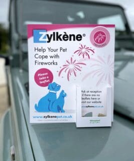 Custom made leaflet dispensers
