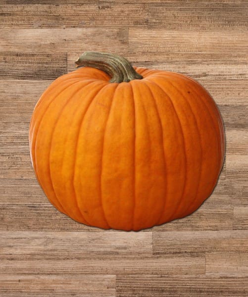 5 Halloween Point of Sale Ideas