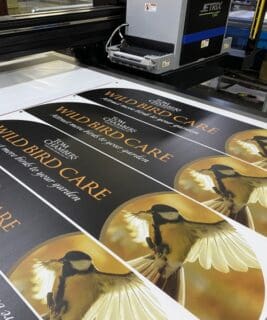 Custom Foamex signs