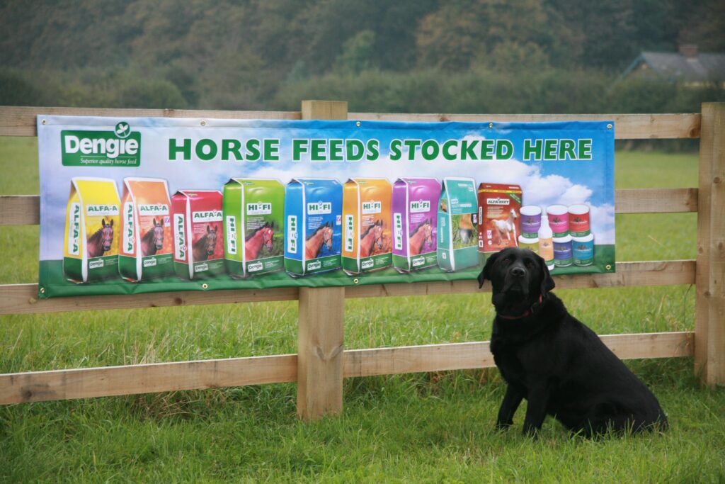 horse feed promotional banners