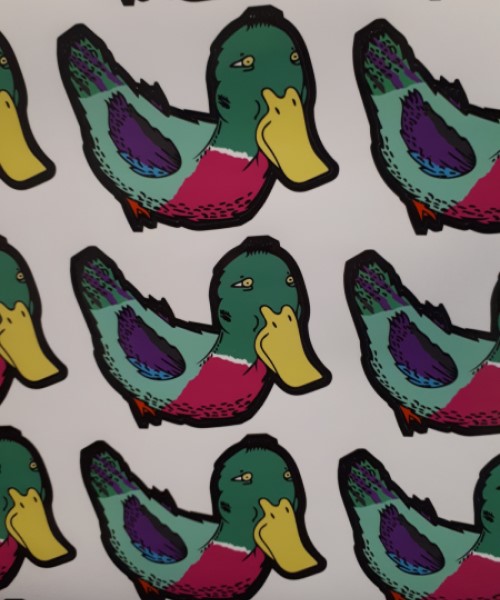 duck skateboard sticker sheet