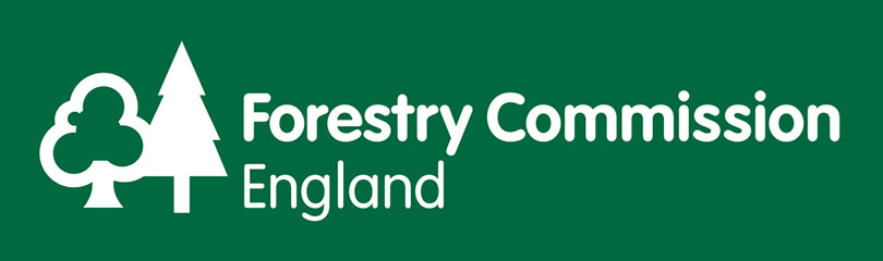 <? esc_attr($brand- src=