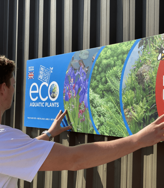 eco aquatic plants Correx sign