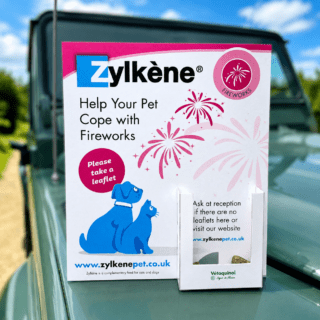 Branded leaflet dispenser DL size